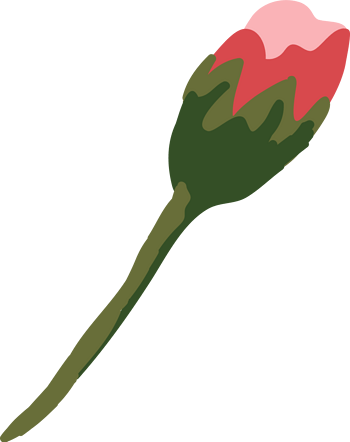 卡通手绘一枝花