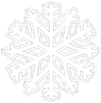 白色雪花素材免抠