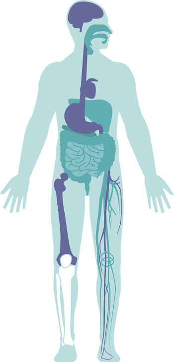 人体消化系统 素材 免费人体消化系统图片素材 人体消化系统素材大全 万素网