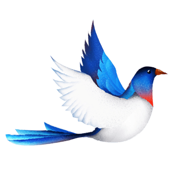 飞翔的小鸟素材图片