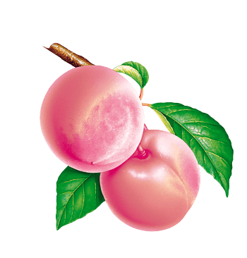桃子免抠元素图片-元素素材5908051-万素网