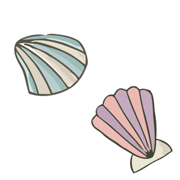 彩色花纹贝壳素材
