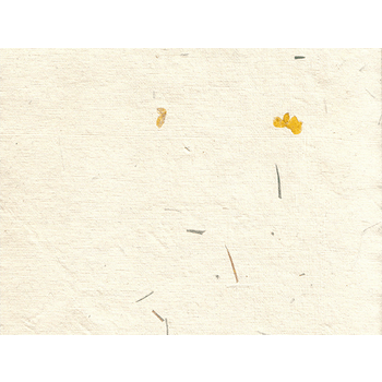 杂质素材图片免费下载_杂质素材素材_万素网