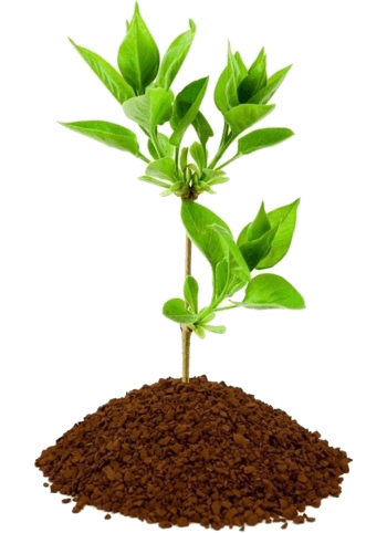 手捧树苗环保海报装饰png元素素材图片下载-万素网