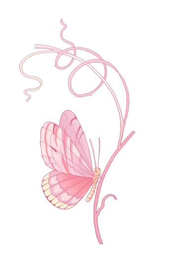 蝴蝶丝带图片-蝴蝶丝带设计素材-蝴蝶丝带素材免费下载-万素网