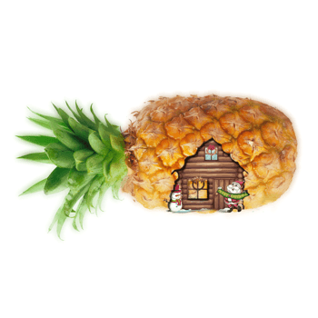 菠萝房屋