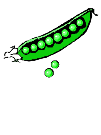 豌豆种子卡通图片图片