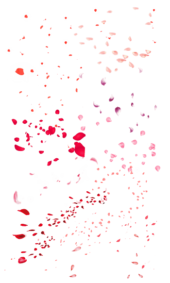 花瓣点缀免抠元素图片_元素素材5059079_万素网