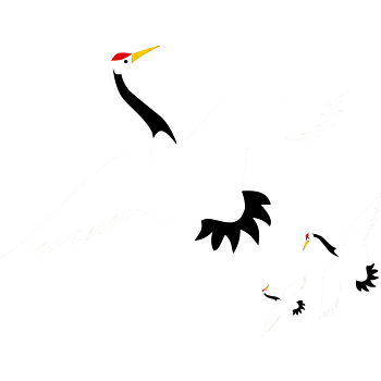 丹顶鹤中国仙鹤矢量图