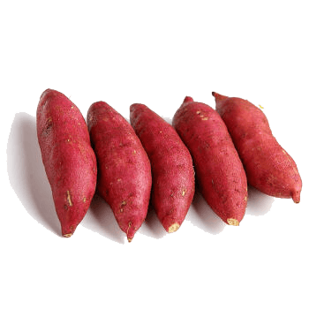 红薯紫薯免抠元素图片
