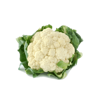 花椰菜 素材 免费花椰菜图片素材 花椰菜素材大全 万素网 花椰菜 素材 免费花椰菜图片素材 花椰菜素材大全 万素网