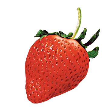 草莓png图片