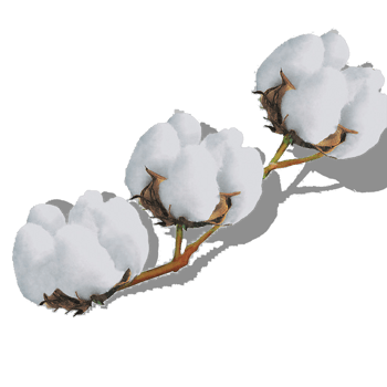 棉花元素图片-棉花元素设计素材-棉花元素素材免费下载-第7页-万素网