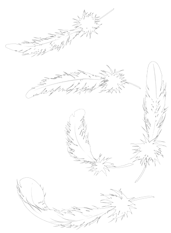 羽毛图案免抠元素图片_元素素材5720484_万素网