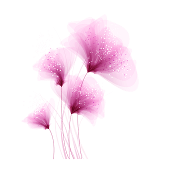 紫色花 素材 免费紫色花图片素材 紫色花素材大全 万素网