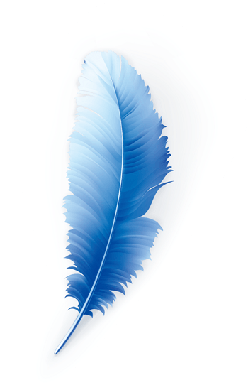 蓝色羽毛
