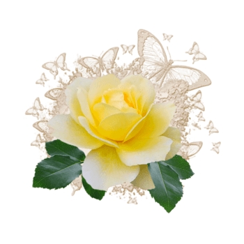 镂空蝴蝶飞舞黄色玫瑰花