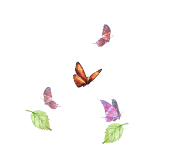 手绘翩翩飞舞蝴蝶