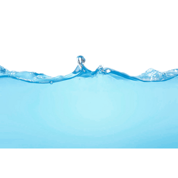 彩色鱼儿png元素素材图片下载-万素网