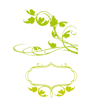 手绘绿色树叶边框