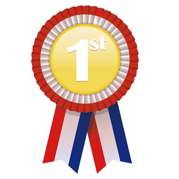 矢量荣誉资质第一名胸章