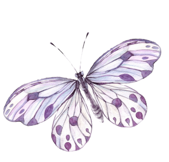 手绘紫色蝴蝶png素材