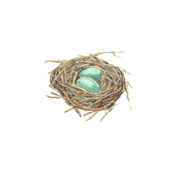 心形鸟巢免扣素材免抠元素图片-元素素材3306377-万素网