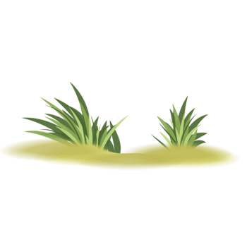 绿草png元素素材图片下载-万素网