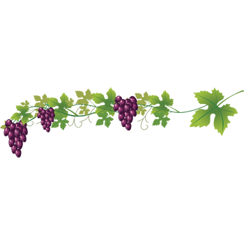 小葡萄 素材 免费小葡萄图片素材 小葡萄素材大全 万素网