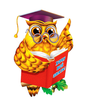 卡通手绘金色猫头鹰博士