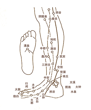 经络图 素材 免费经络图图片素材 经络图素材大全 万素网