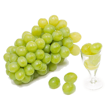 葡萄素材 素材 免费葡萄素材图片素材 葡萄素材素材大全 万素网