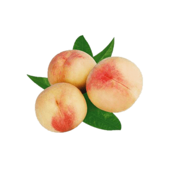 5桃子图片免费下载_5桃子素材_第4页_万素网