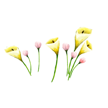 彩绘春天百合花