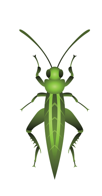矢量绿色长触角昆虫