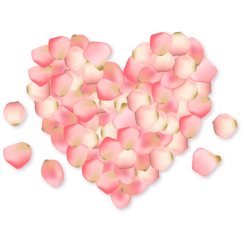 粉色花瓣爱心