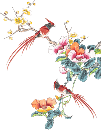 花鸟图片免费下载_花鸟素材_第6页_万素网