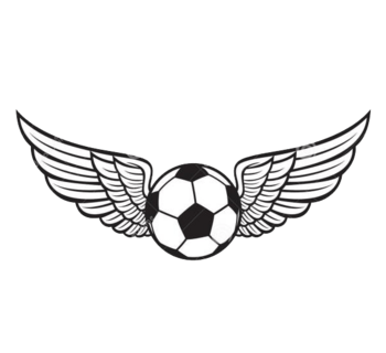 足球翅膀