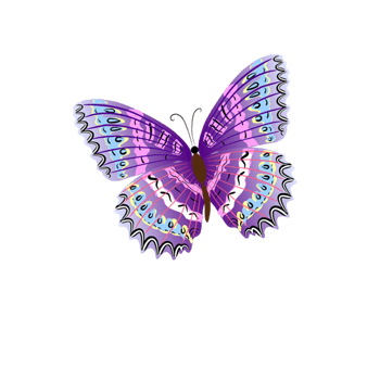 紫色漂亮蝴蝶