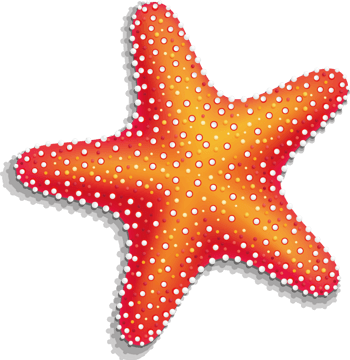 矢量海星素材