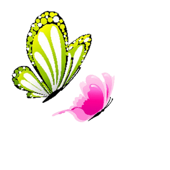 两只飞舞的蝴蝶