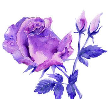 紫色玫瑰花漂浮元素