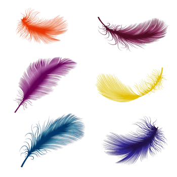 彩色羽毛矢量图