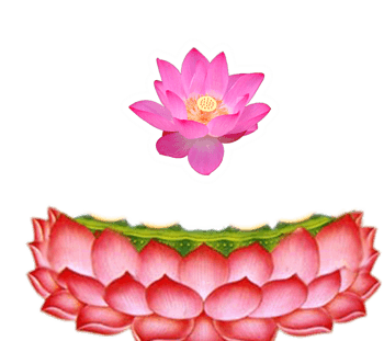 坐莲 素材 免费坐莲图片素材 坐莲素材大全 万素网