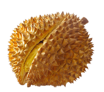 黄灿灿榴莲