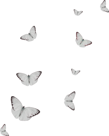 白色简约蝴蝶漂浮素材