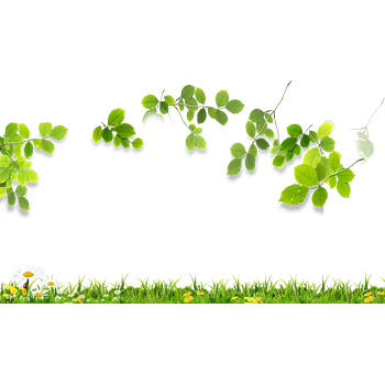 春天树叶装饰元素