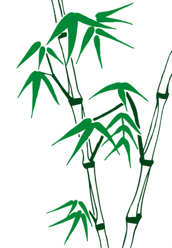 卡通图片竹子图片 清新竹子