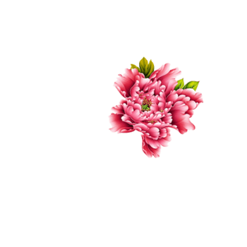 垂 素材 免费垂图片素材 垂素材大全 万素网