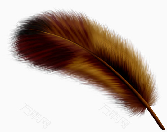 彩色羽毛图案
